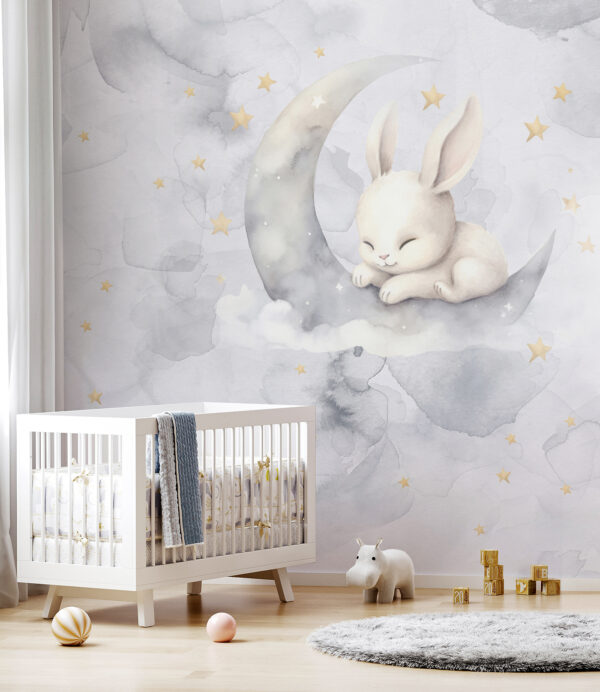 Un lapin sur la lune Un lapin sur la lune