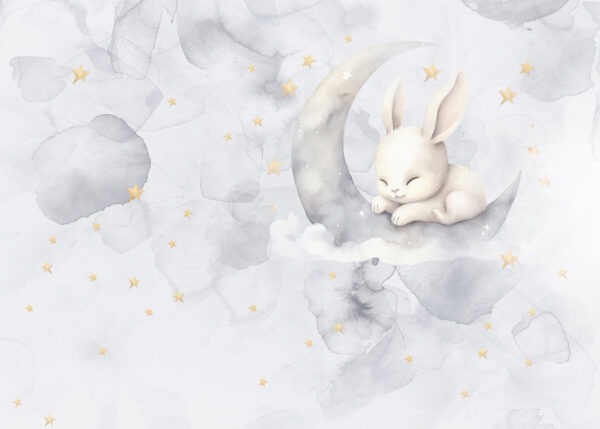 Un lapin sur la lune Un lapin sur la lune