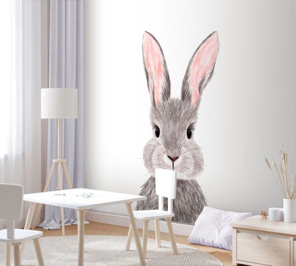Adorable lapin à la fourrure douce. Adorable lapin à la fourrure douce.