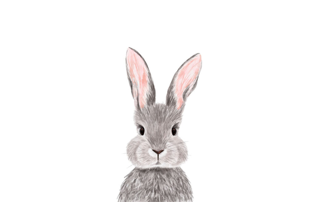 Adorable lapin à la fourrure douce. Adorable lapin à la fourrure douce.