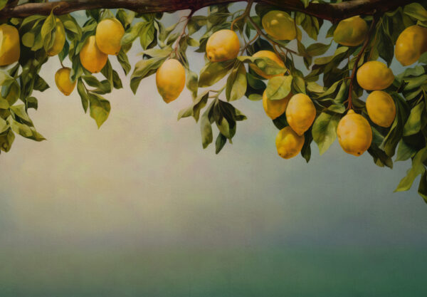 Peinture de citrons sur une branche d'arbre Peinture de citrons sur une branche d'arbre