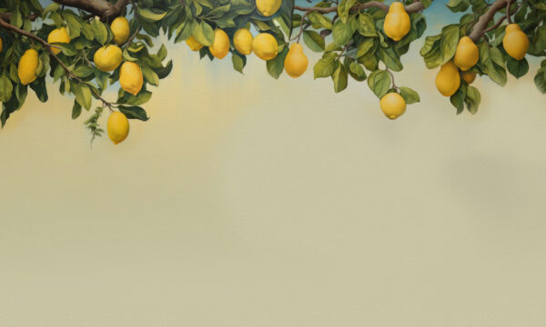 Un citron sur une branche d'arbre Un citron sur une branche d'arbre
