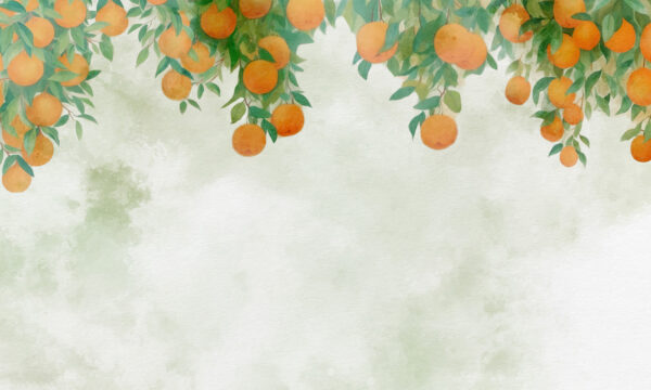 Oranges sur une branche d'arbre Oranges sur une branche d'arbre
