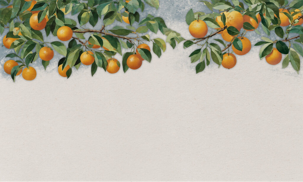 Une branche d'oranges avec des feuilles Une branche d'oranges avec des feuilles