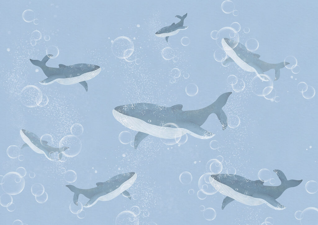 Un groupe de baleines nageant dans l'eau Un groupe de baleines nageant dans l'eau