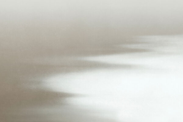 Un fond blanc et gris Un fond blanc et gris