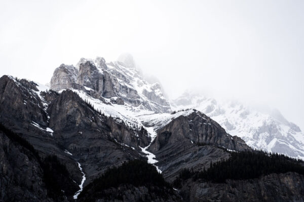Une montagne enneigée avec des arbres Une montagne enneigée avec des arbres