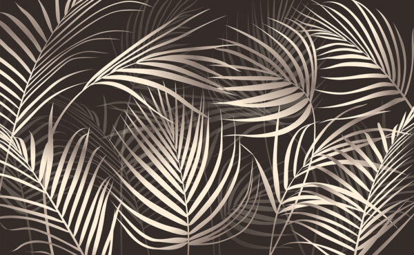 Feuilles de palmier élégantes sur fond sombre Feuilles de palmier élégantes sur fond sombre