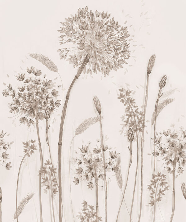 Dessin d'une fleur Dessin d'une fleur