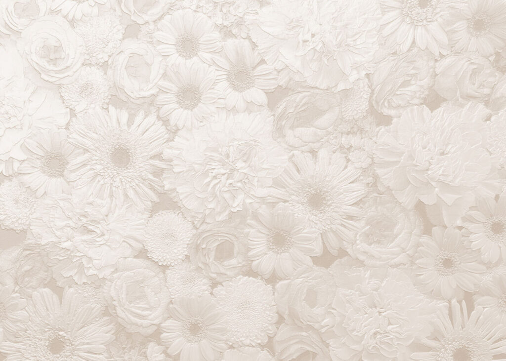 Motif de fleurs blanches Motif de fleurs blanches