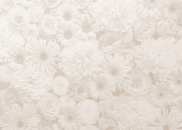 Motif de fleurs blanches Motif de fleurs blanches