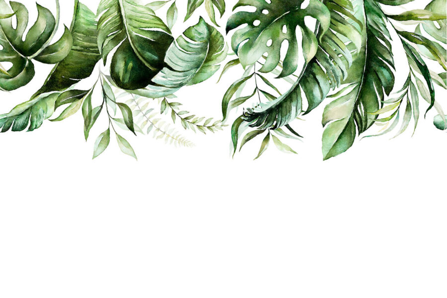 Rangée de feuilles vertes Rangée de feuilles vertes