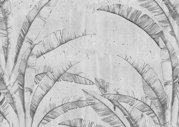 Dessin d'une feuille Dessin d'une feuille