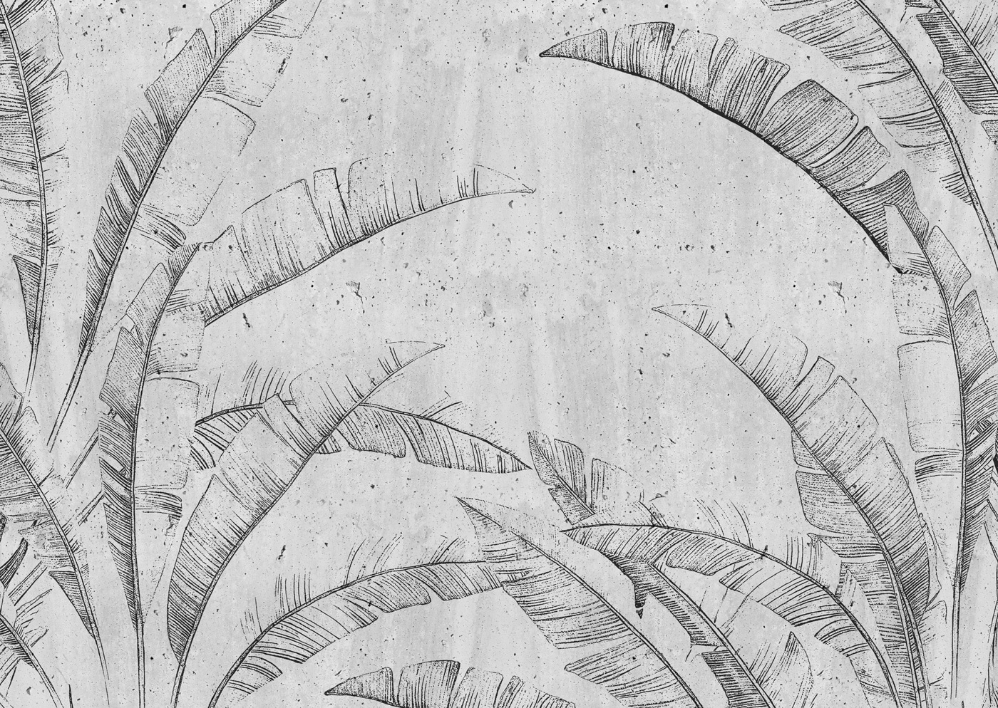 Drawing of a leaf Drawing of a leaf