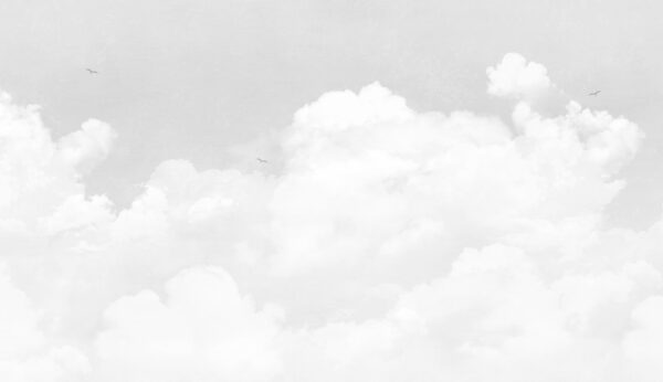 Un nuage blanc dans le ciel Un nuage blanc dans le ciel