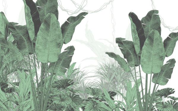 Groupe de plantes avec feuilles Groupe de plantes avec feuilles