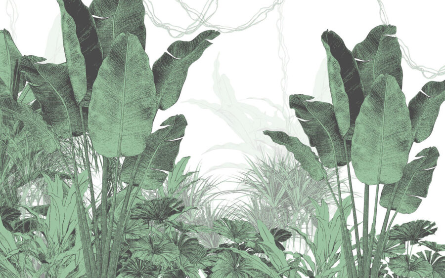 Groupe de plantes avec feuilles