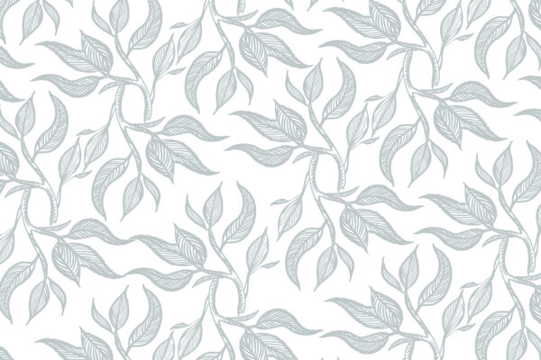 Motif de feuilles sur fond blanc u96720p 600x400 - Motif de feuilles sur fond blanc - tegory