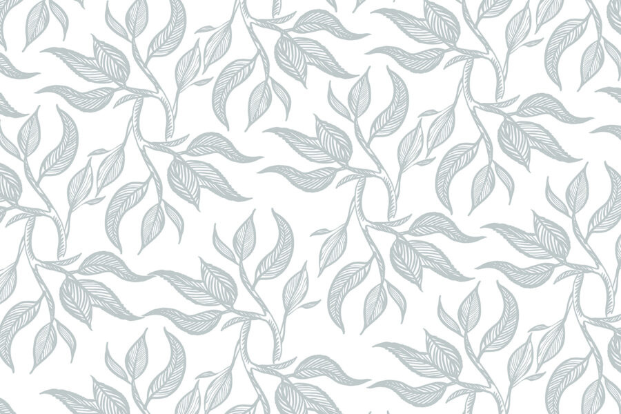 Motif de feuilles sur fond blanc u96720p 900x600 - Motif de feuilles sur fond blanc - tegory