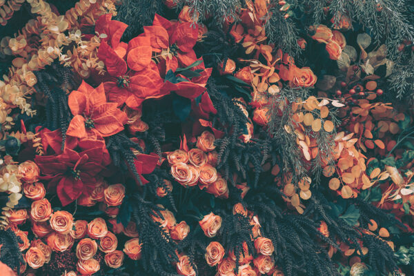 Groupe de fleurs et de feuilles Groupe de fleurs et de feuilles