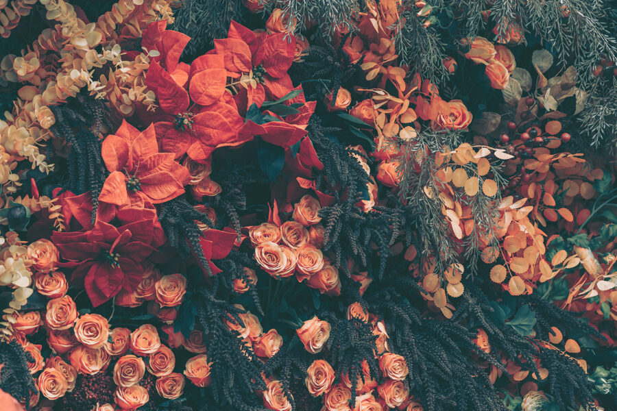 Groupe de fleurs et de feuilles