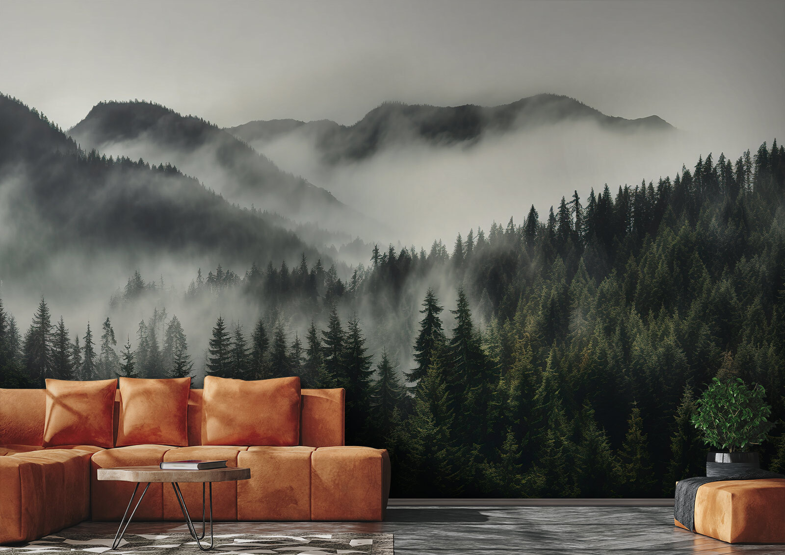 Forest with fog and mountains Forest with fog and mountains