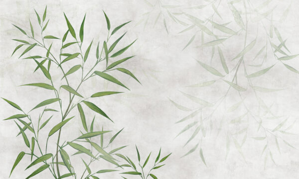 Feuilles vertes sur fond blanc Feuilles vertes sur fond blanc