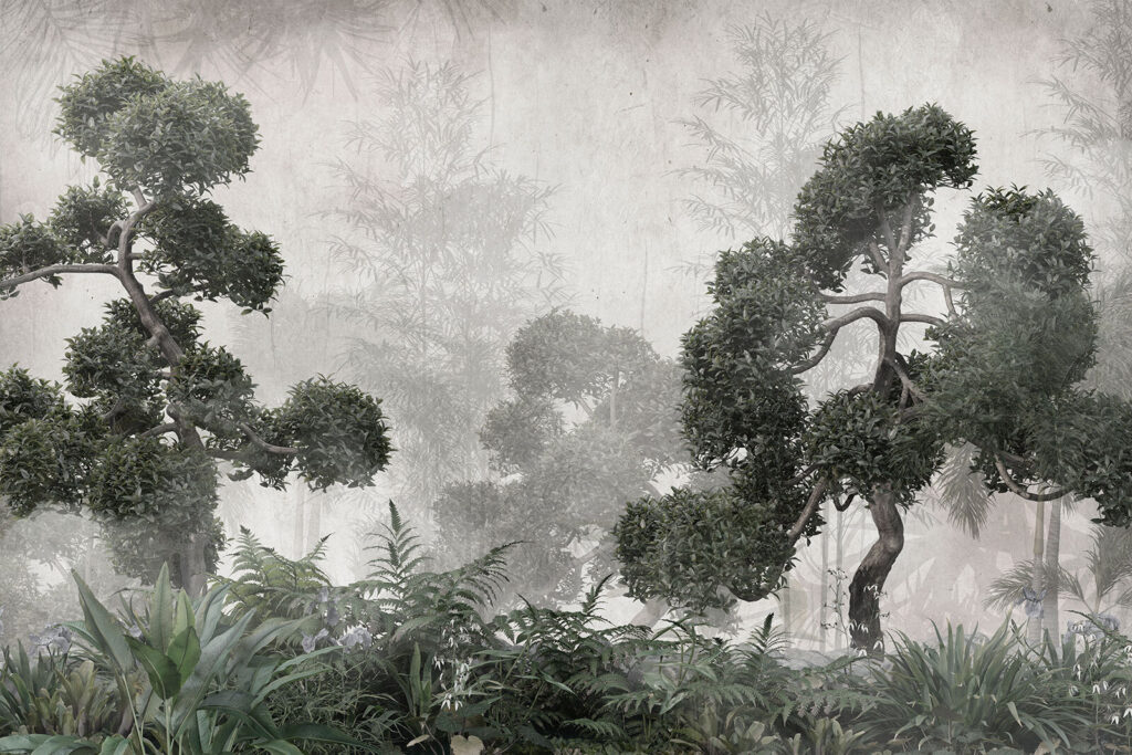 Groupe d'arbres et de plantes Groupe d'arbres et de plantes