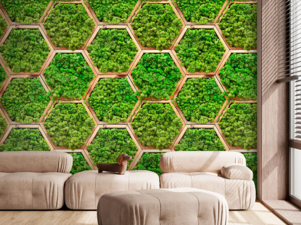 Mur de plantes en hexagones Mur de plantes en hexagones