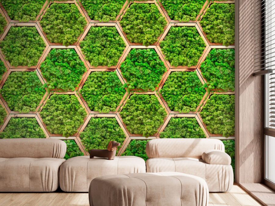 Mur de plantes en hexagones Mur de plantes en hexagones