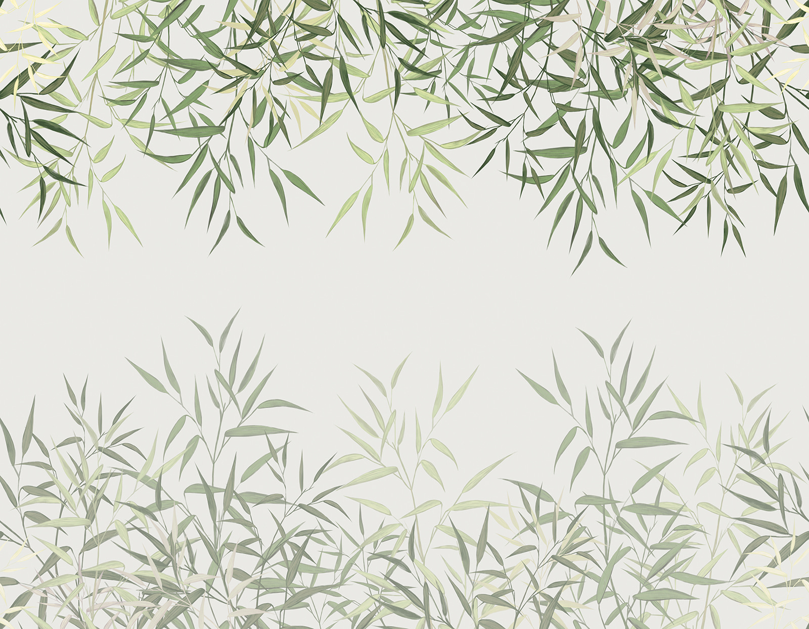 Delicate bamboo leaves on soft background Delicate bamboo leaves on soft background