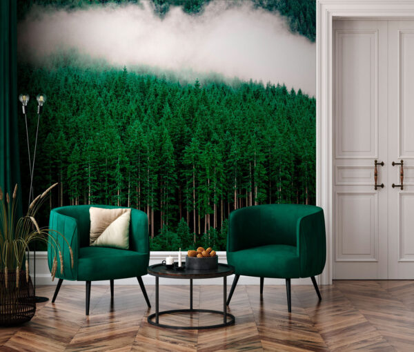 Une forêt d'arbres avec du brouillard Une forêt d'arbres avec du brouillard