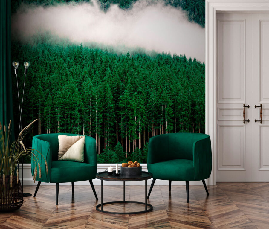 Une forêt d'arbres avec du brouillard