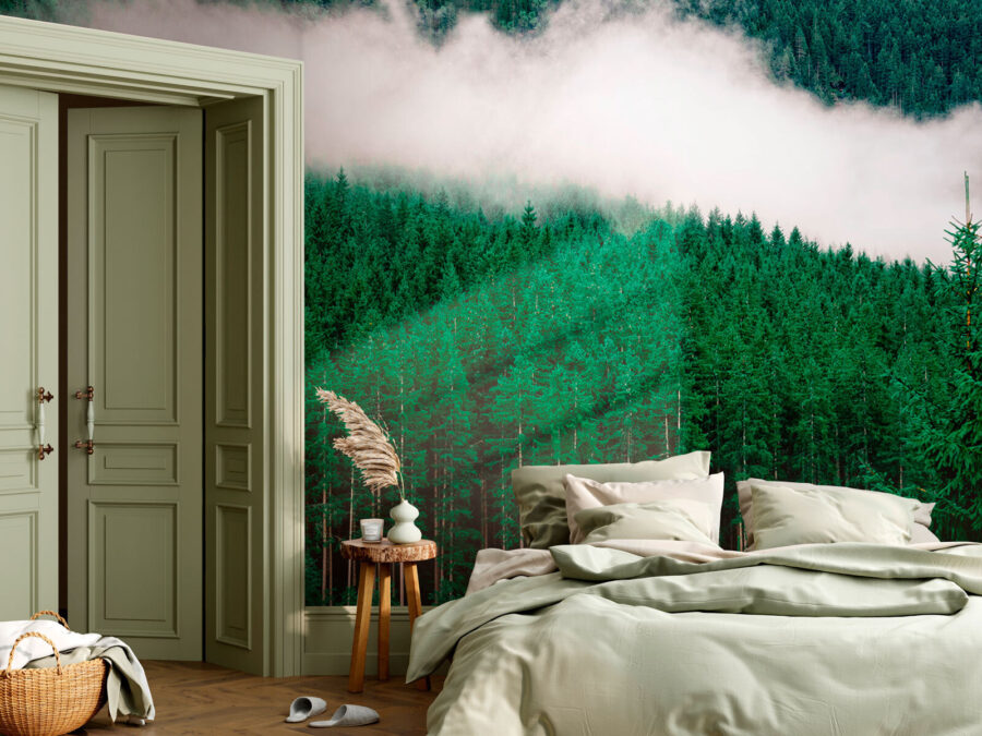 Une forêt d'arbres avec du brouillard