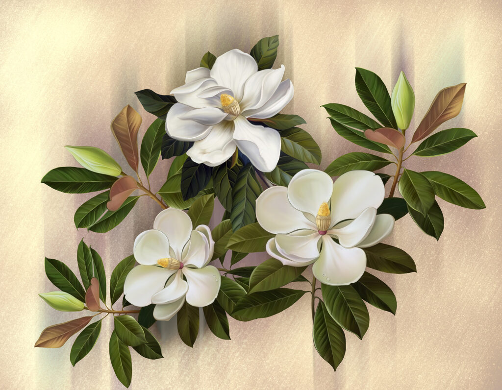 Magnifiques fleurs de magnolia en exposition Magnifiques fleurs de magnolia en exposition