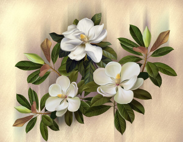 Magnifiques fleurs de magnolia en exposition Magnifiques fleurs de magnolia en exposition