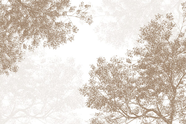 Groupe d'arbres avec des feuilles Groupe d'arbres avec des feuilles