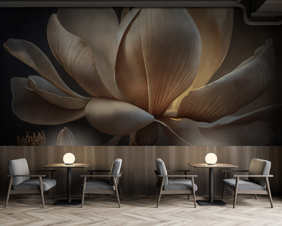 Magnolia gracieux dans une lumière douce