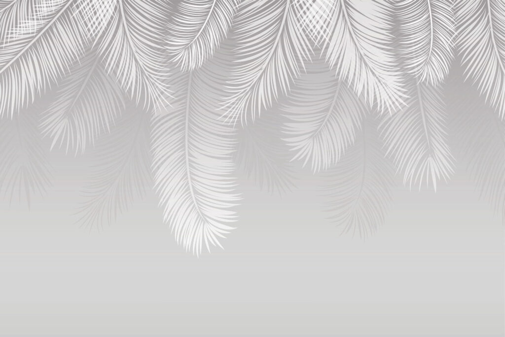 Plumes blanches sur fond gris Plumes blanches sur fond gris