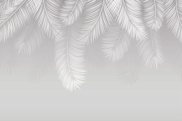 Plumes blanches sur fond gris Plumes blanches sur fond gris