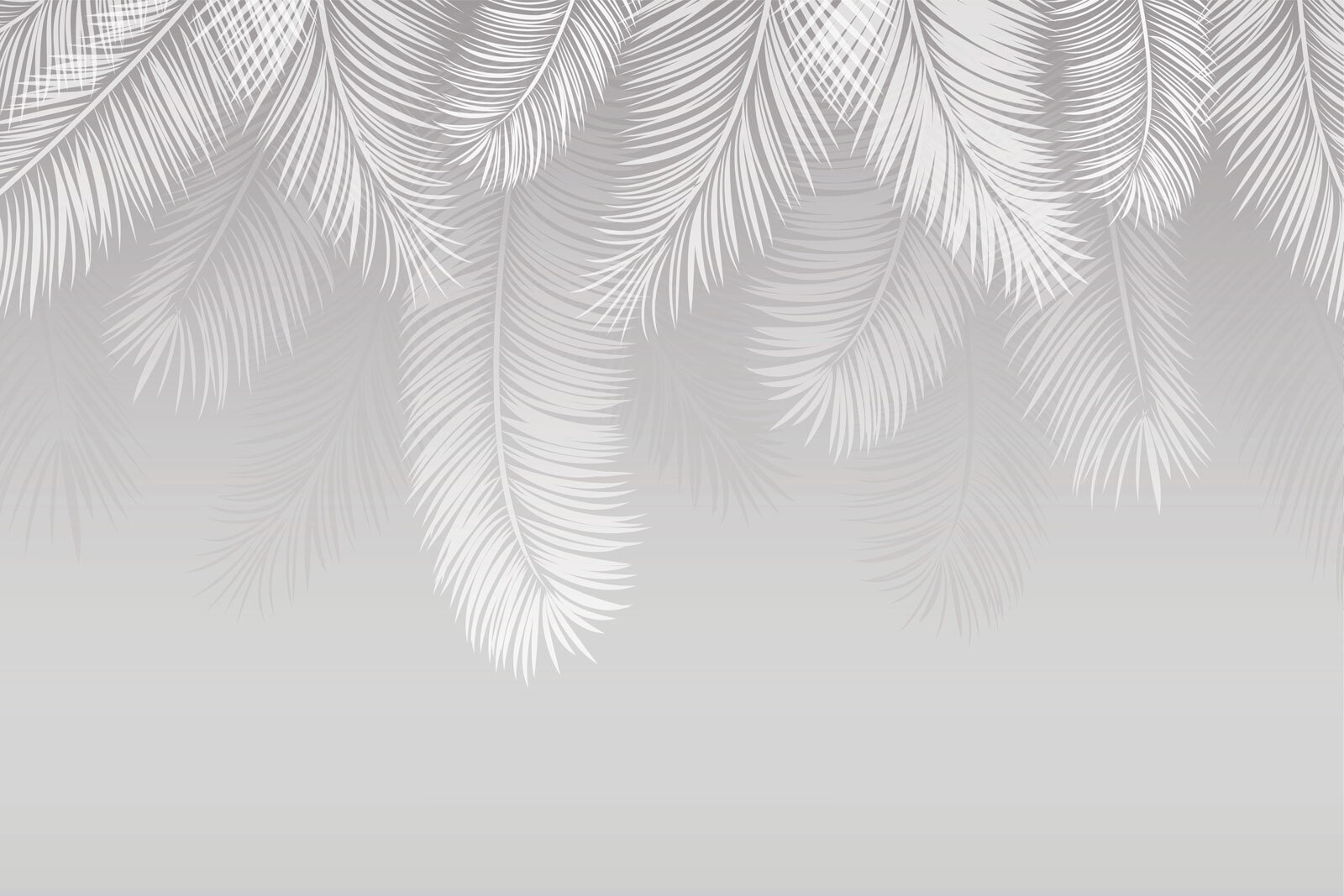 Plumes blanches sur fond gris u94450p - Plumes blanches sur fond gris - tegory