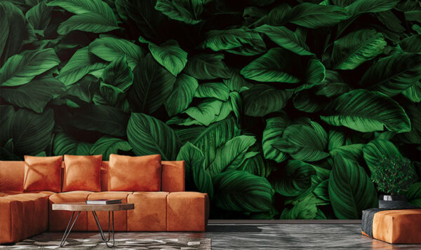 Grandes feuilles vertes Grandes feuilles vertes