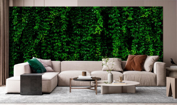 Mur de feuilles vertes Mur de feuilles vertes