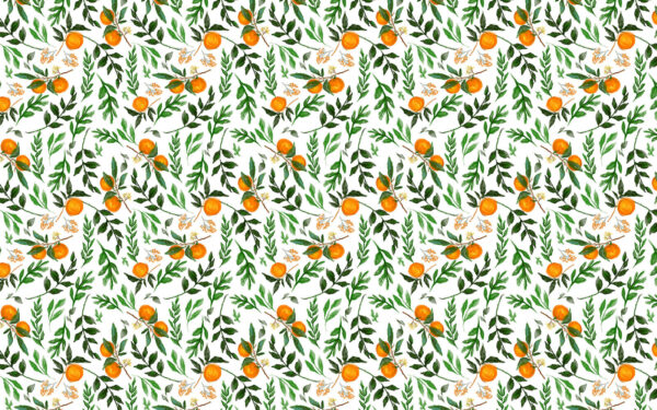 Motif d'oranges et de feuilles Motif d'oranges et de feuilles