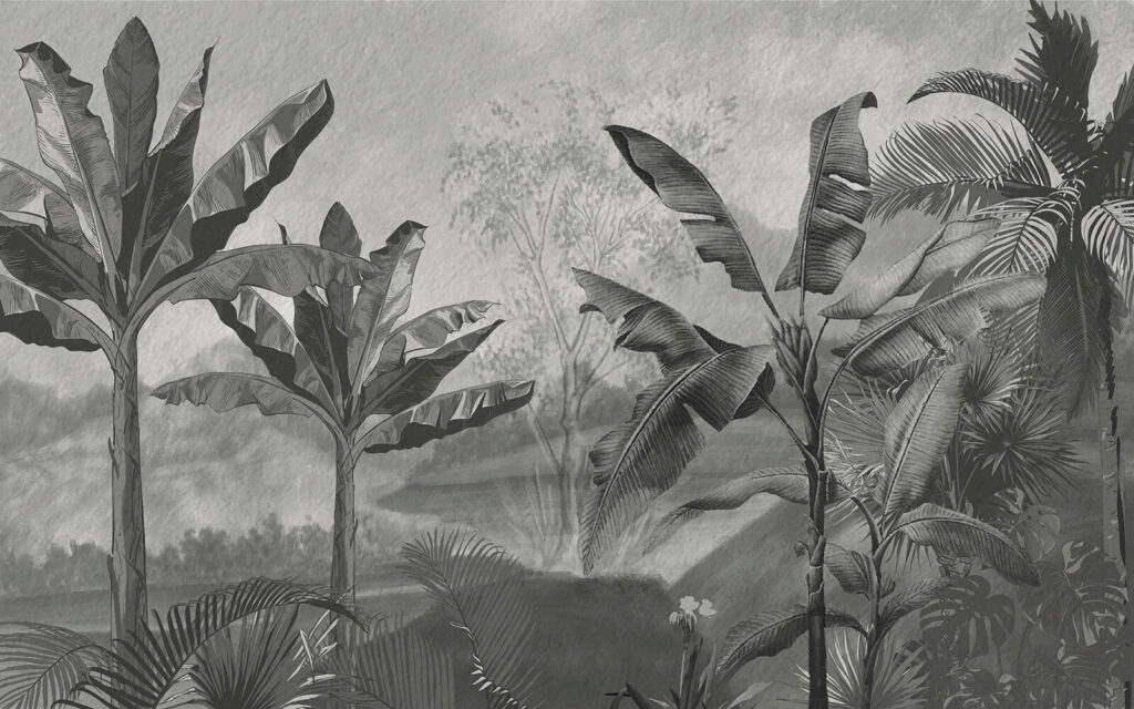Image en noir et blanc d'une forêt tropicale Image en noir et blanc d'une forêt tropicale