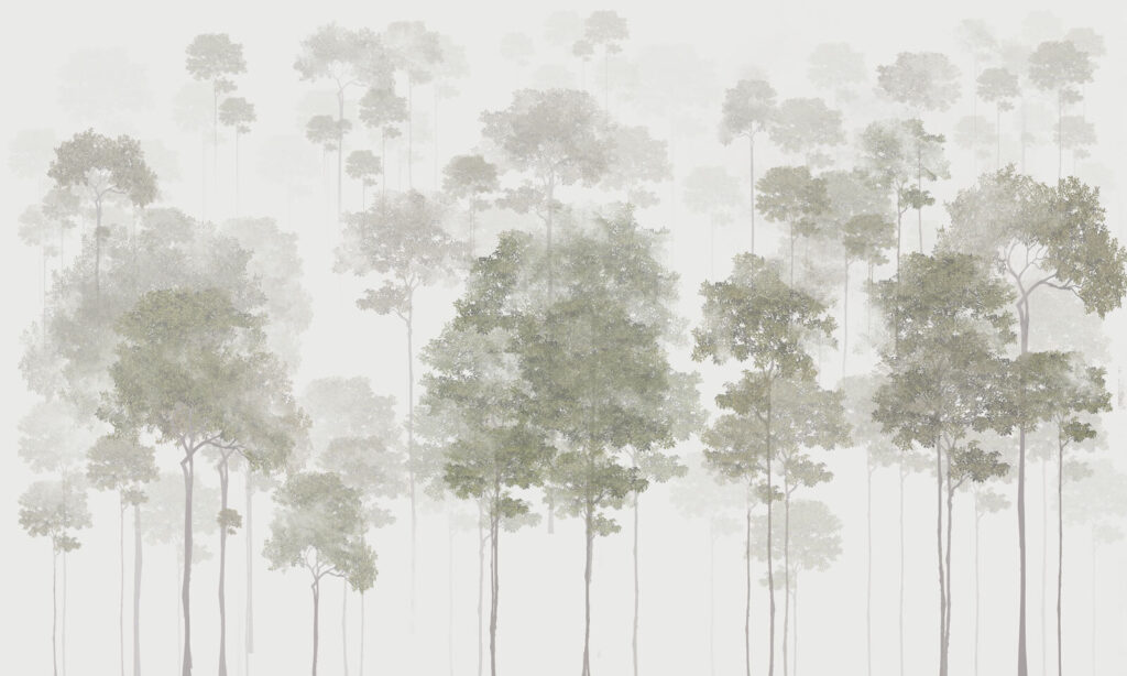 Groupe d'arbres dans le brouillard Groupe d'arbres dans le brouillard
