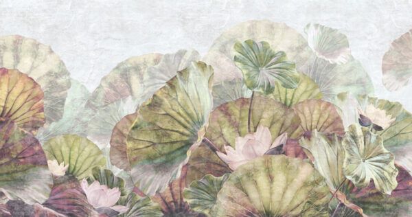 Feuilles et fleurs de nénuphar délicates Feuilles et fleurs de nénuphar délicates