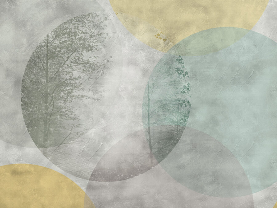 Arbre et cercles sur un mur