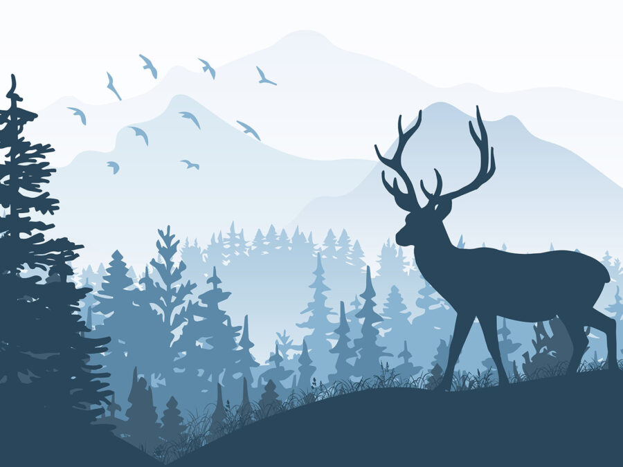 Cerf dans une forêt