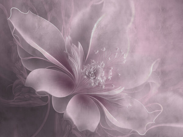 Fleur délicate dans des tons pastel. Fleur délicate dans des tons pastel.
